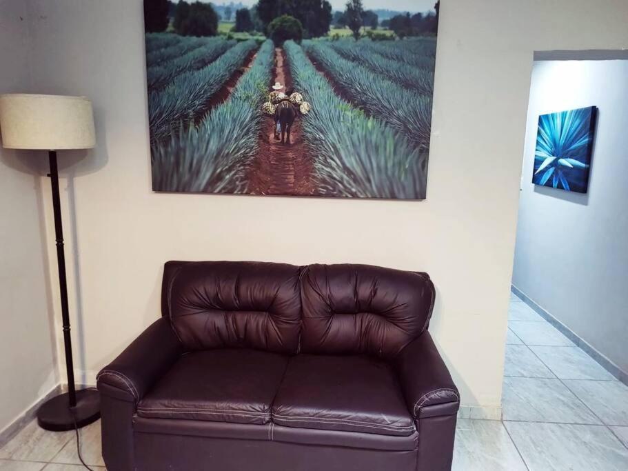 Hermoso Departamento Centrico Con Servicios Appartement Tequila Buitenkant foto